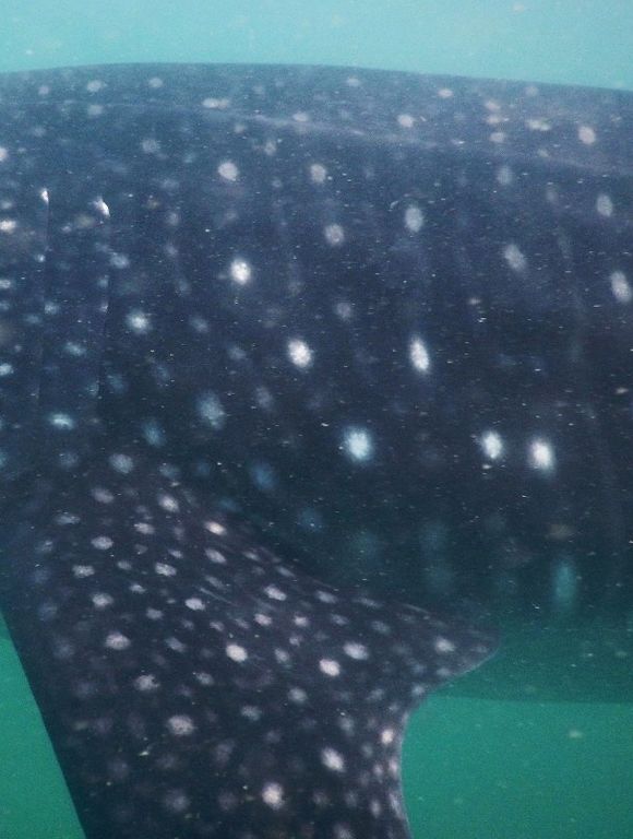 e2e75be5-8887-4b7e-af21-b919211b877e