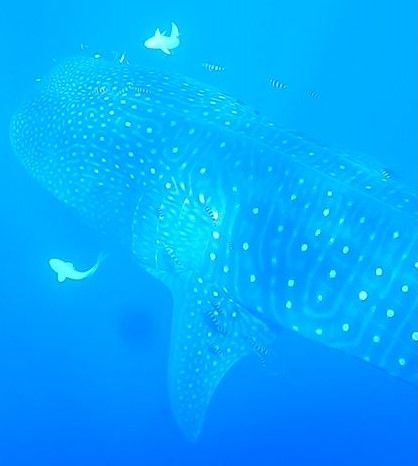 5d79fbc8-96a9-4310-9bad-ab76b2070d19