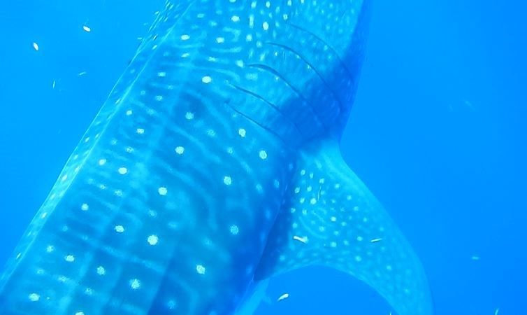 5d79fbc8-96a9-4310-9bad-ab76b2070d19