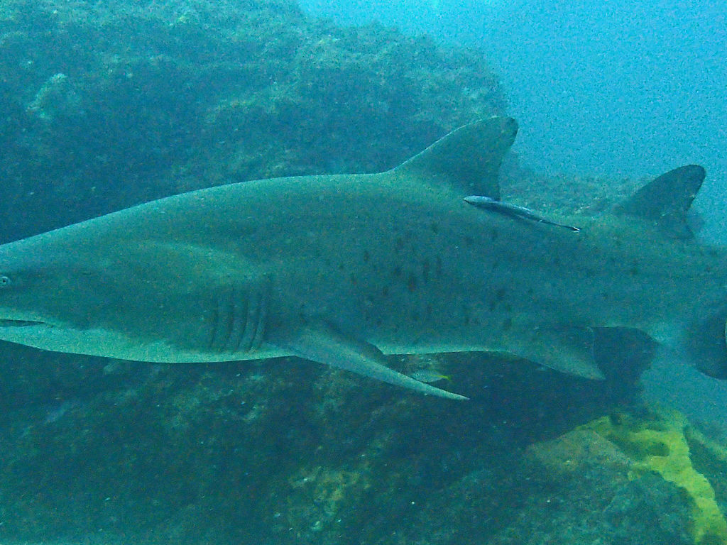 459b1f53-e372-4ab4-b897-6a962c5f7b25