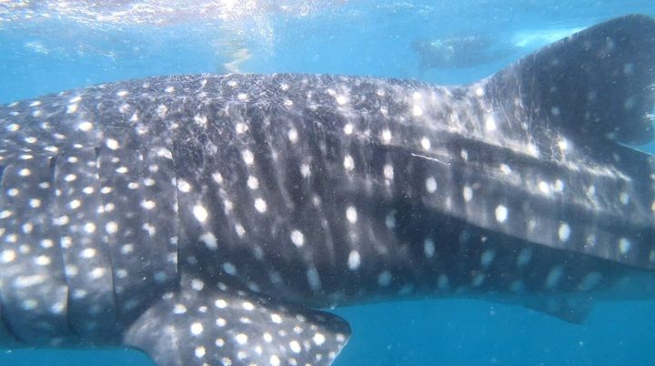 1745bc4b-d39f-4976-96ed-0b7868e84967