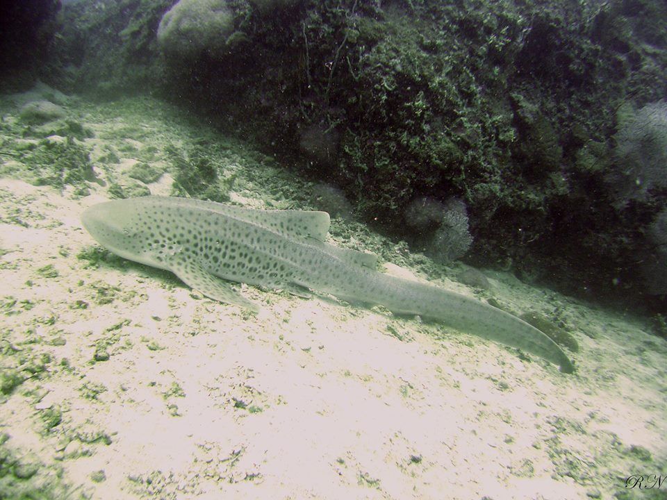 1e37fcf8-142c-4369-951d-8cac2ad7d6ea