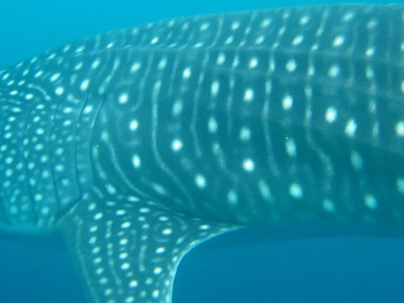 98a8baa7-5ce0-4543-ab81-cf888d6eb37a