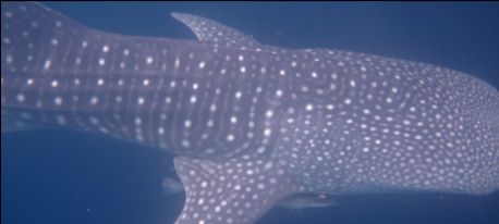 8a09a962-79e8-4d7a-a7bb-e7d95527eecc