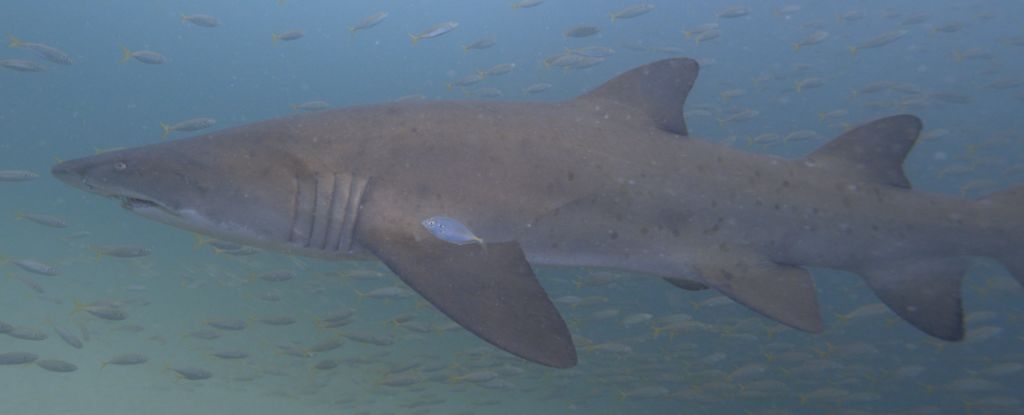 15012861-82fc-4f06-8947-8eaee72fab8e