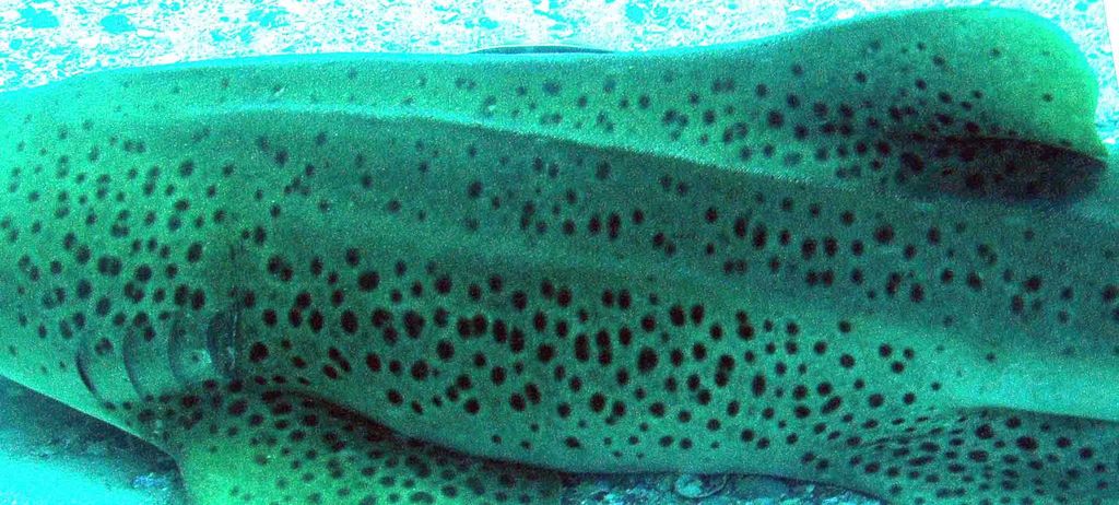 31286d42-0343-4e90-a3b0-82f2f349f5c7