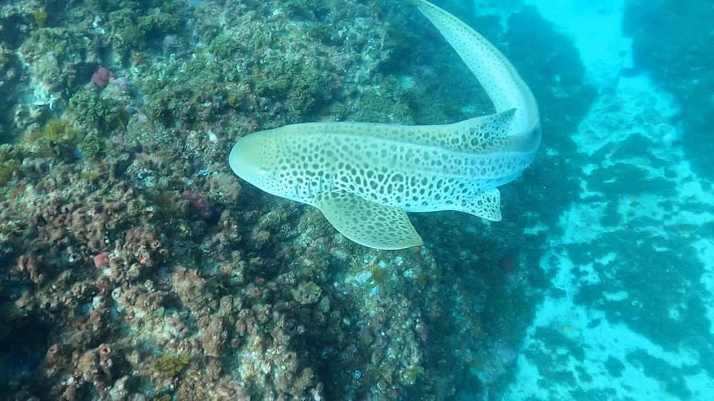 139e05c7-5c52-4353-8b19-a2b3d1ce242b