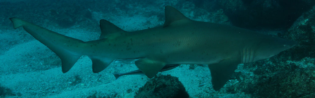 853f6bcd-dcf0-4a22-b213-b62f4ad28113