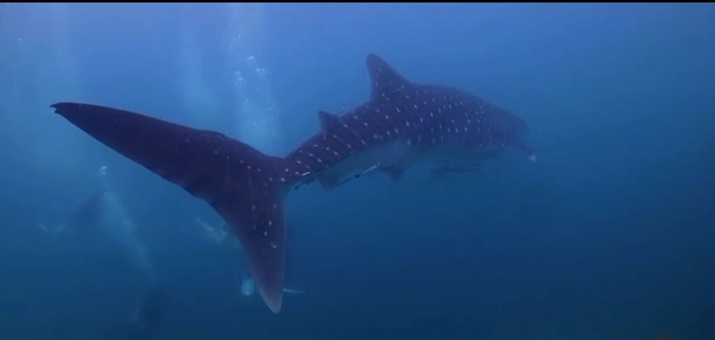 6d708767-68d8-40c4-917b-07760501ceda