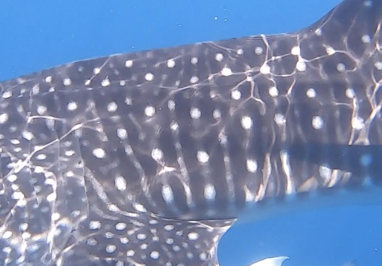 717c6682-8e59-421c-bf99-2bb8a0f1dd98