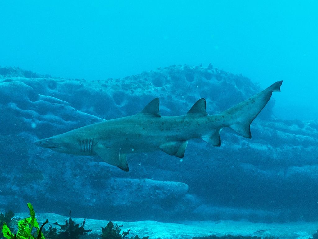 07b0ba96-5e7b-41cd-b957-cf7259ef9e76