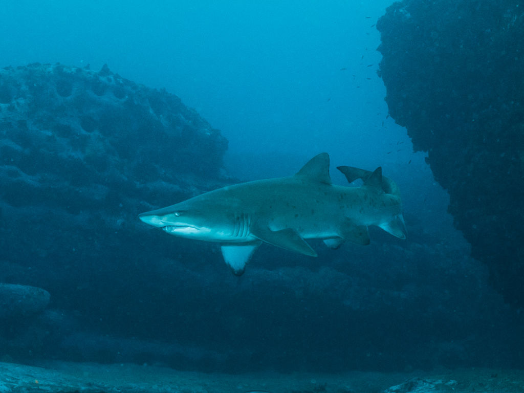 07b0ba96-5e7b-41cd-b957-cf7259ef9e76