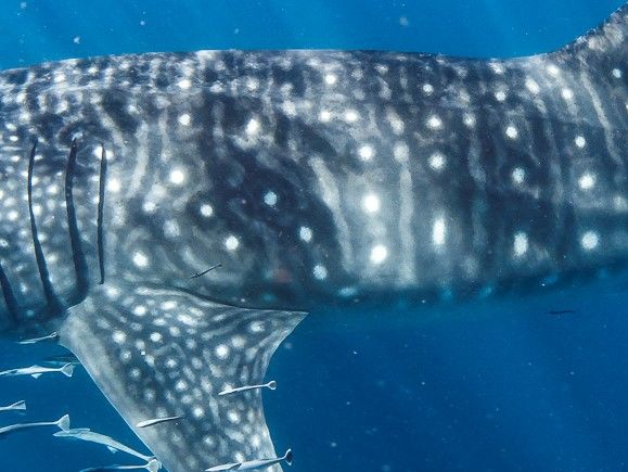 12d065c5-adc4-4848-b539-15167d23c207