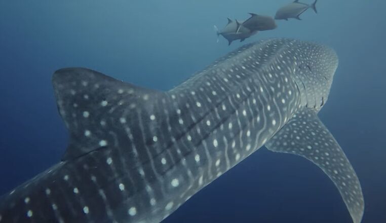 fd7d1a5f-325d-477b-92d1-06bcaca1a2c6