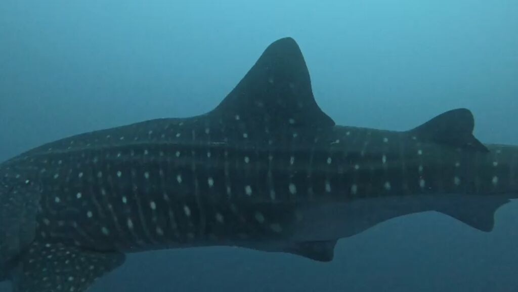 fd7d1a5f-325d-477b-92d1-06bcaca1a2c6