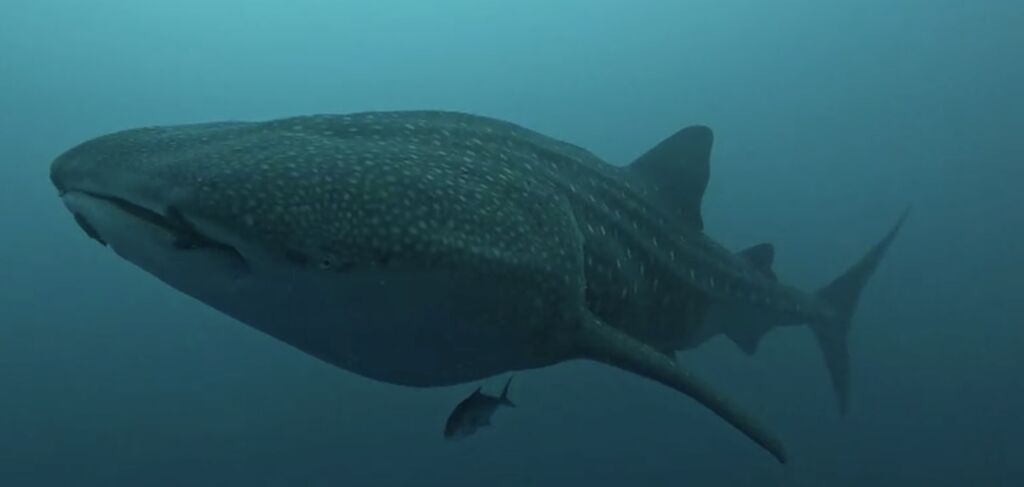 fd7d1a5f-325d-477b-92d1-06bcaca1a2c6