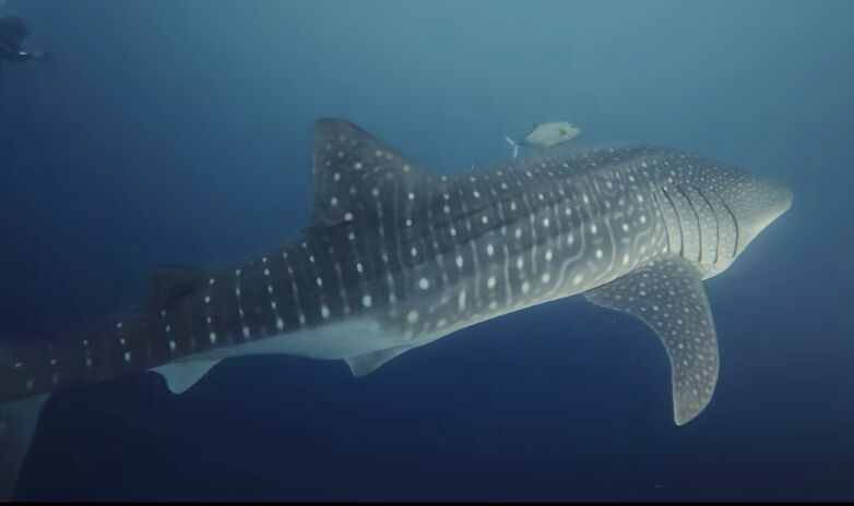 fd7d1a5f-325d-477b-92d1-06bcaca1a2c6