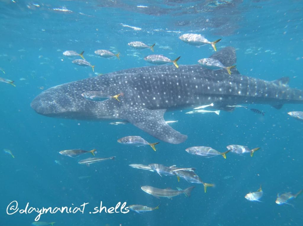 84b25471-6ffc-40bf-83de-ca1c8b9831bf