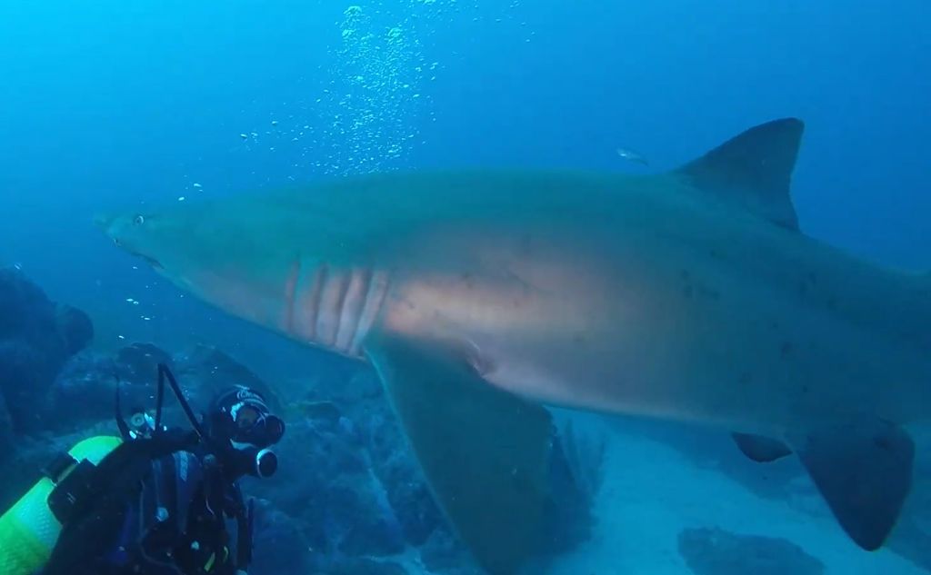 80382589-39da-42d0-816e-e59f0ae9ca5e