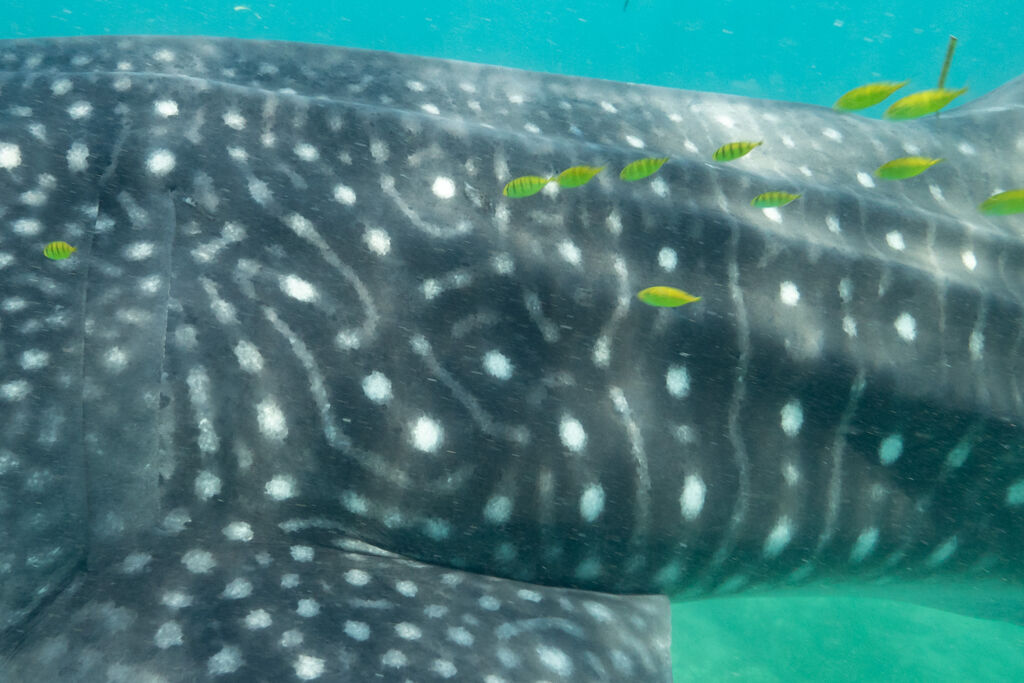 996b9b12-b82a-432c-ab23-5bd51b59f705