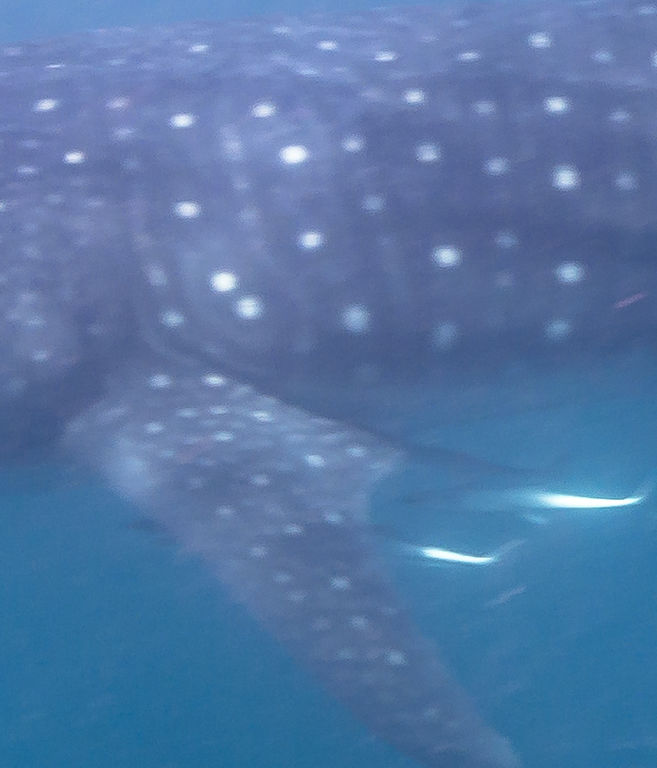 7e7d3227-a545-4fce-933c-706b0b613e3a