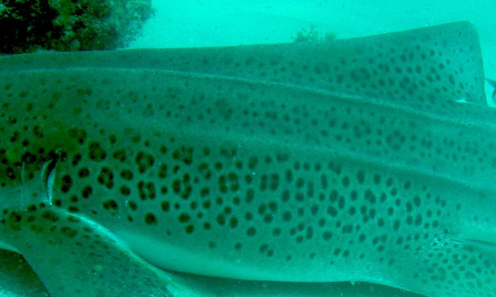 e2ff55ac-e202-46f9-a81b-0a82007ef012