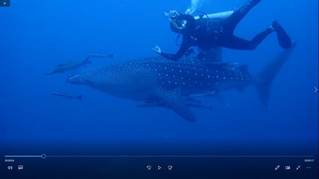 015e47e2-6583-412e-b98a-6a2c47485127