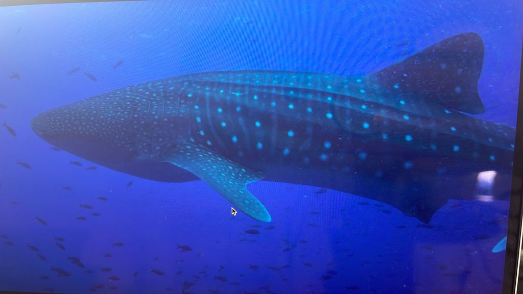 9e5721e9-4036-41eb-8c14-52c661119a3c