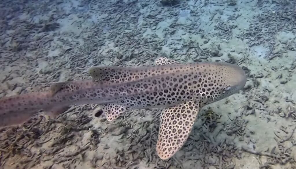 5a0dc684-1a7e-4af7-bd84-170a9a0d3503