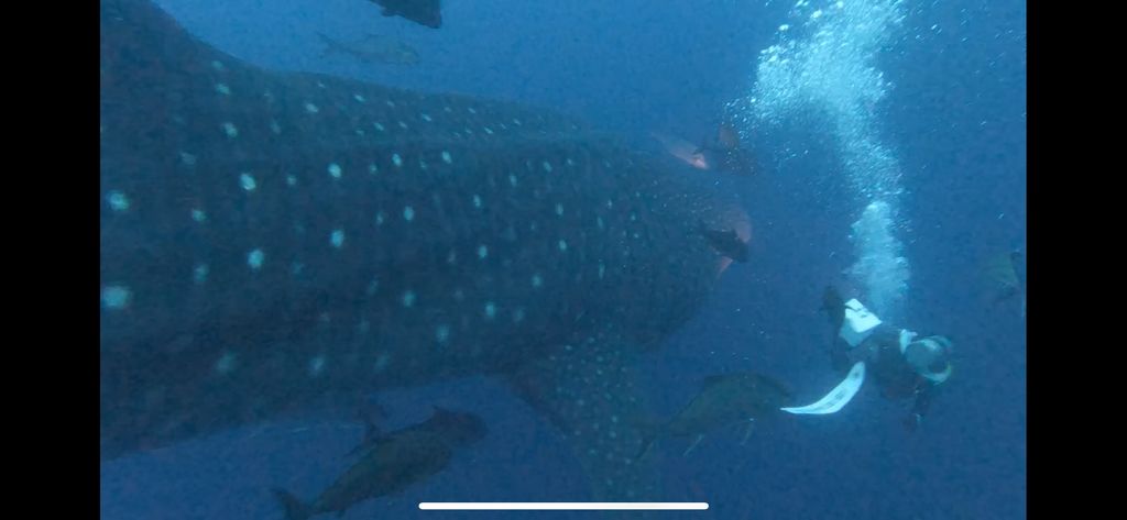 31008e44-cc33-4a2c-8a5e-56674d11c8d5