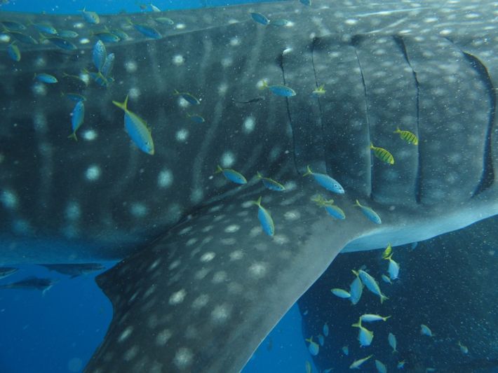 0909865f-bdc0-42ec-83b1-5f112c393c48