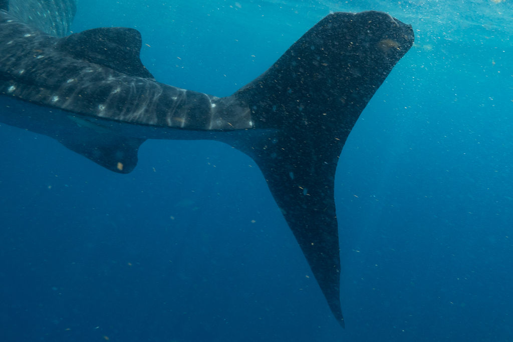 c763d5f4-170d-4697-acf9-36b908ed52bb