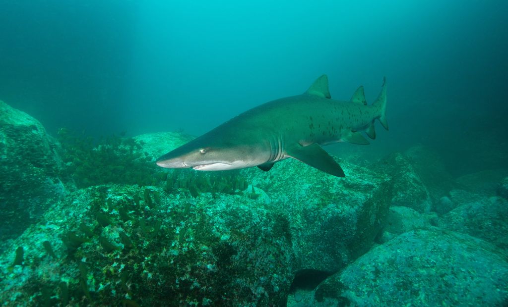 32928760-8a11-40b1-a2cb-04902fa9e9c6