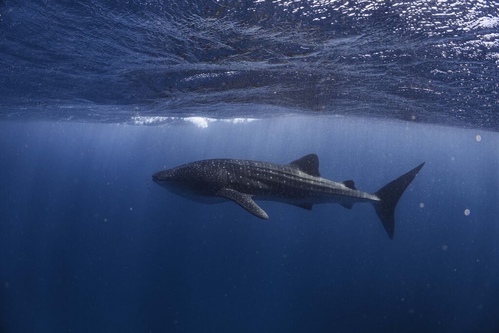 de4b70f2-0c10-493b-9c03-0d0bf9e09bc4