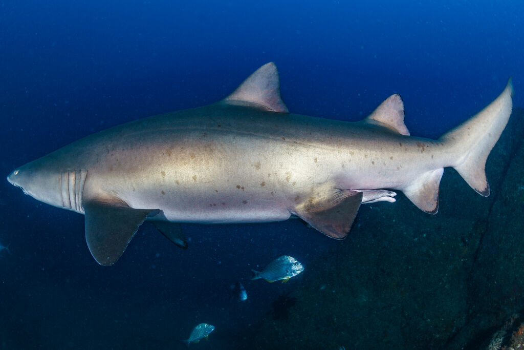 fbd192a5-5b67-4145-89a9-c4cc3aaace47