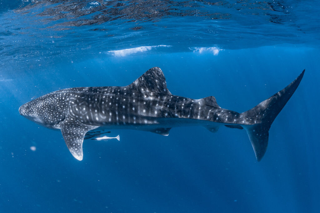 ccd69f50-e16b-44d7-816c-33403841b769