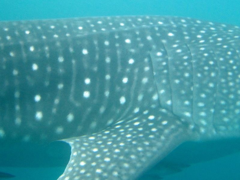 7fd2d62b-6f9a-4387-9e07-e216c41168c1