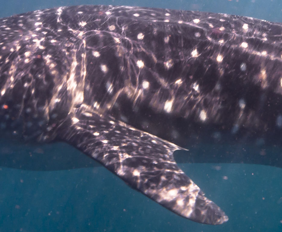 bd5adb35-a9bc-42df-9991-958bdb3520db