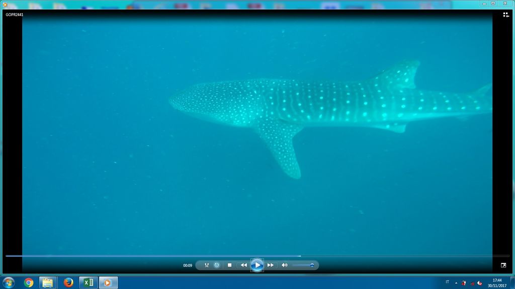 64313317-f7f2-4368-a0c1-f18d23a4a217