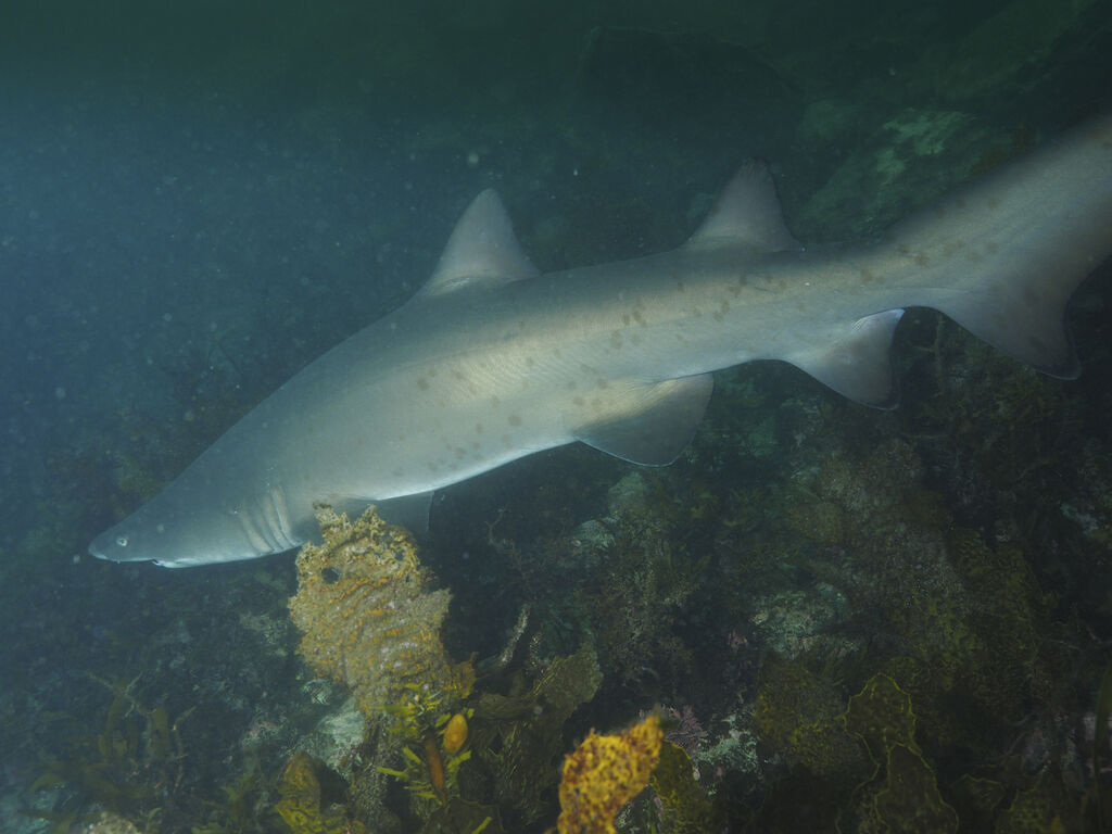 1d0b8d3d-486b-41f6-b132-e1b4aabeb965