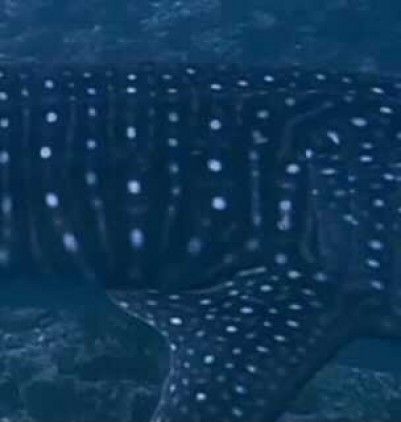 5eef6ec3-978c-4e6e-9d36-3cf7c6a313b7