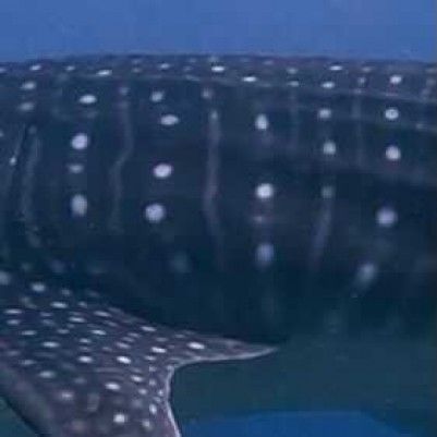 5eef6ec3-978c-4e6e-9d36-3cf7c6a313b7