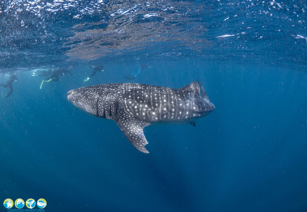 3023d337-6268-4b8c-afc0-95e74d8b8316