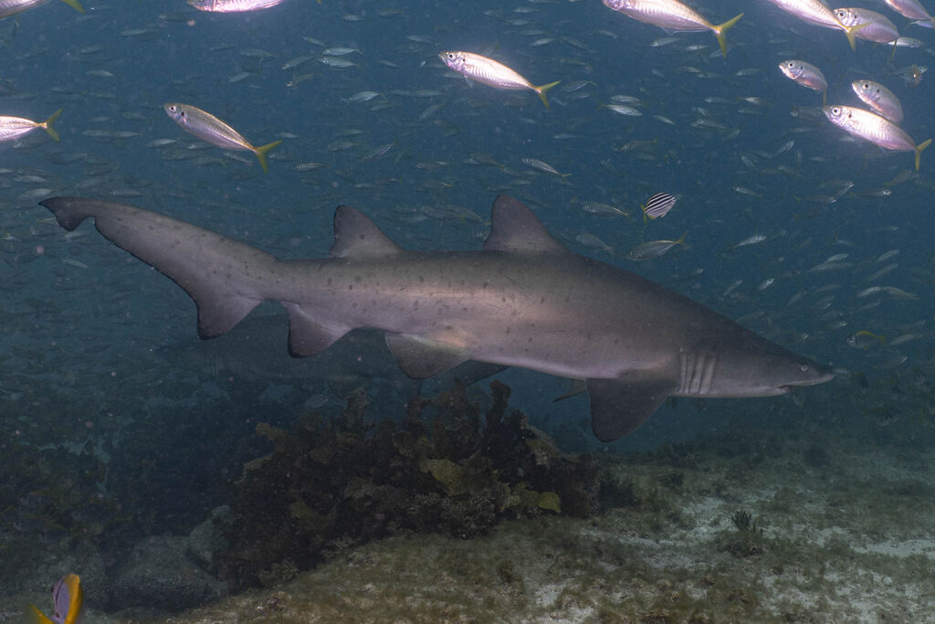 67fb2600-7e02-497c-a83d-f4f26036728f