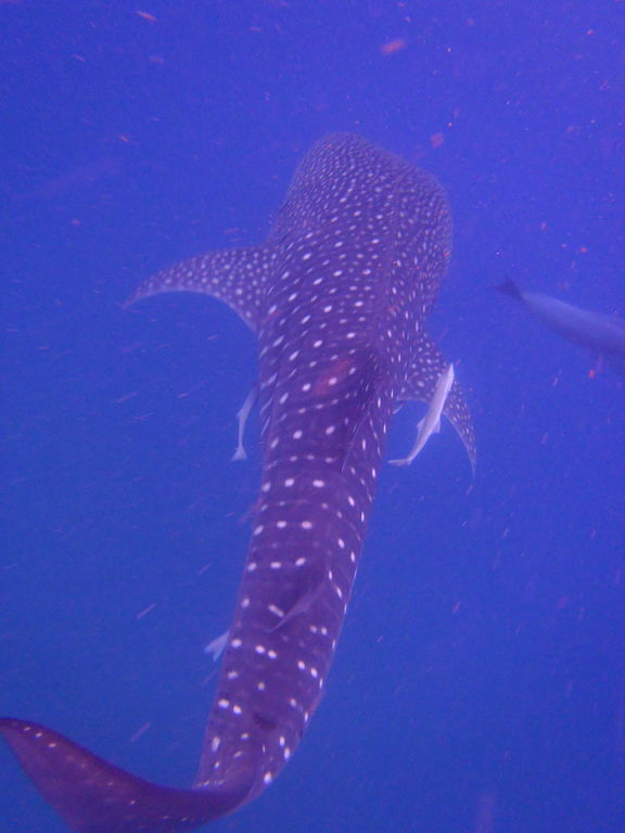 5642727e-fe33-4155-9188-b0c8afac908e