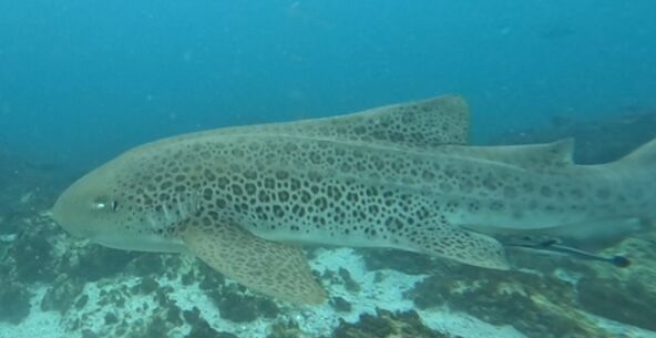 0fe94eda-f944-4ac2-b006-76e240ac5079