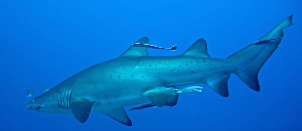 07c8ad79-04fe-4064-ac9c-b26aa5f380ce