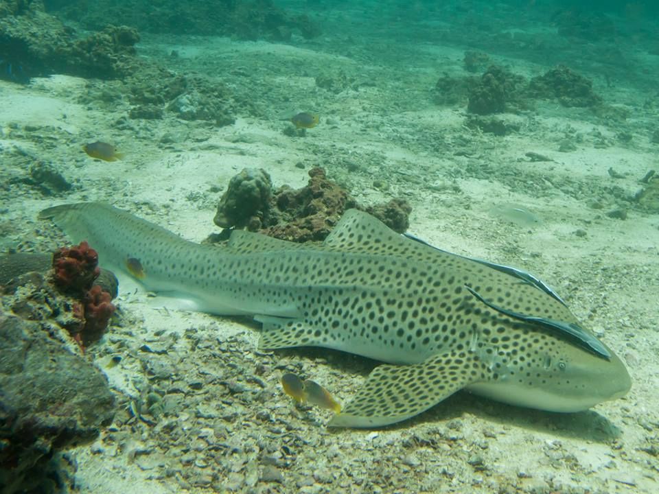 8cbd2b57-9e4f-4954-8ea0-cc67a0420142