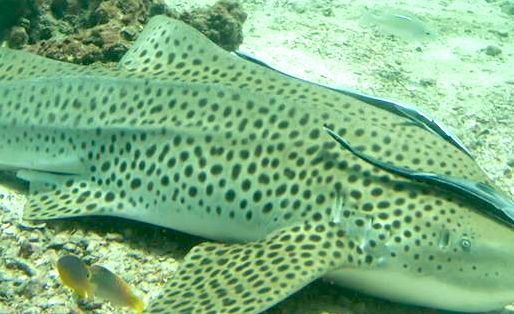 8cbd2b57-9e4f-4954-8ea0-cc67a0420142