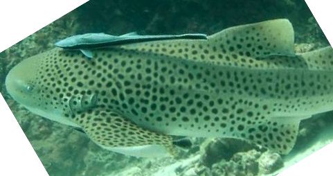 8cbd2b57-9e4f-4954-8ea0-cc67a0420142